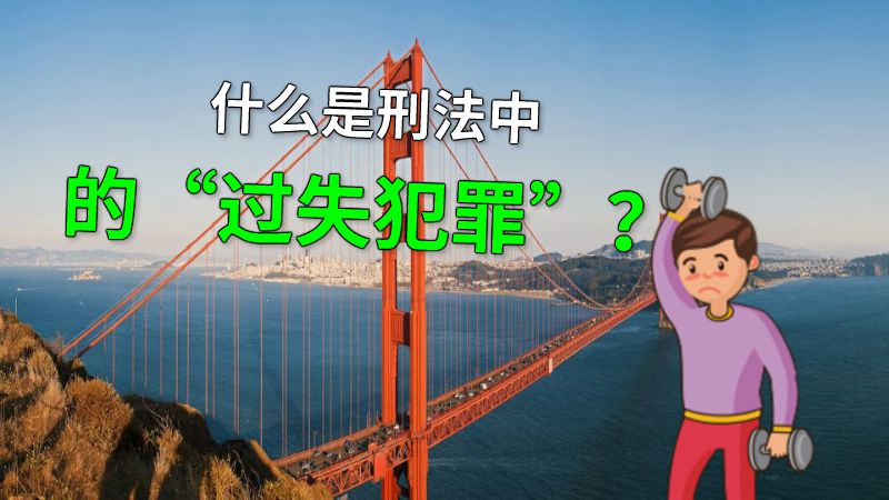 什么是刑法中的“过失犯罪”？ 动画制作软件有哪些