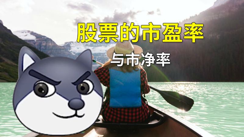 股票的市盈率与市净率 动画制作软件有哪些