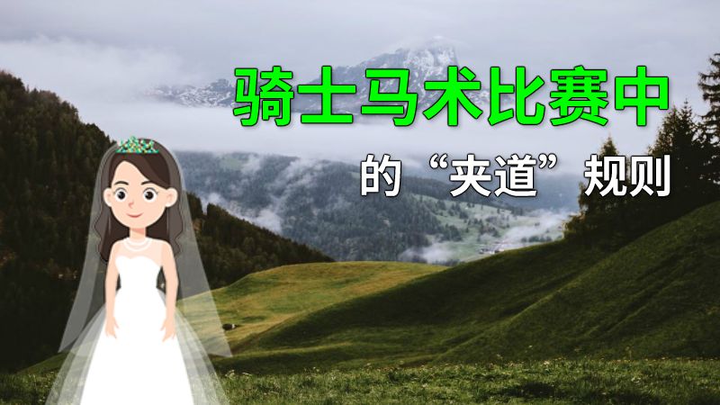 骑士马术比赛中的“夹道”规则 动画制作软件有哪些