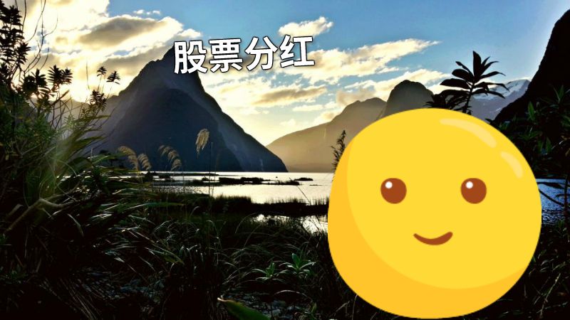 股票分红 动画制作软件有哪些