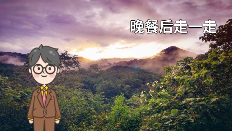 晚餐后走一走 动画制作软件有哪些