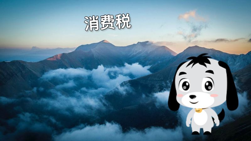 消费税 动画制作软件有哪些