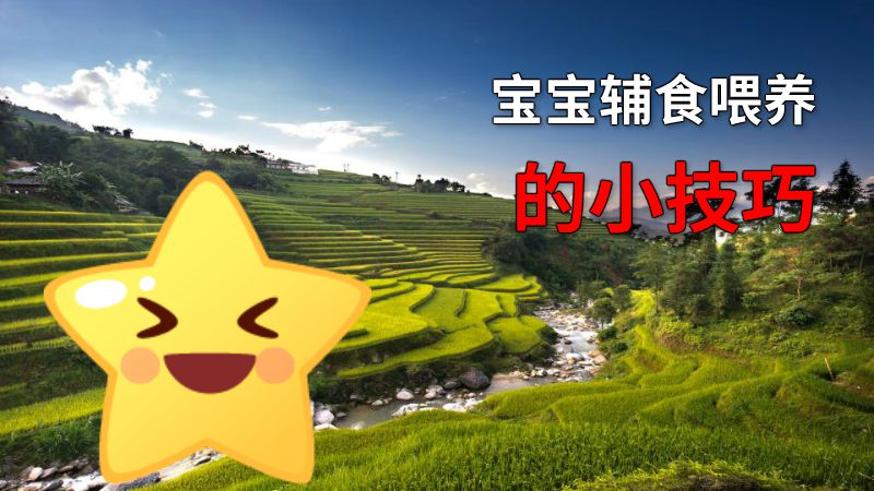 宝宝辅食喂养的小技巧 动画制作软件有哪些