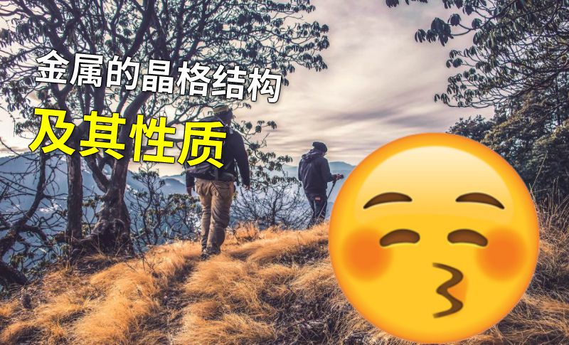 金属的晶格结构及其性质 动画制作软件有哪些
