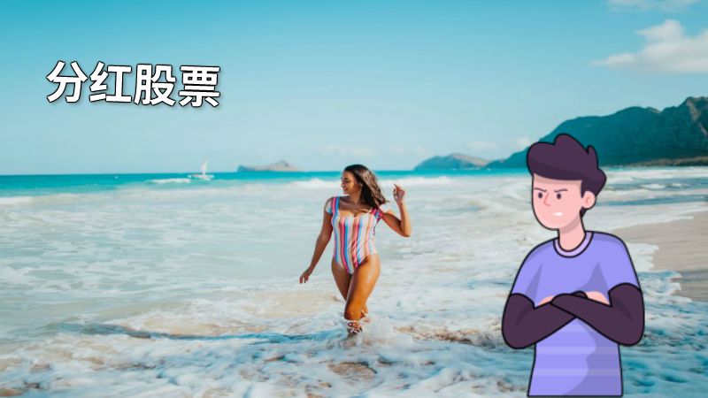 分红股票 动画制作软件有哪些