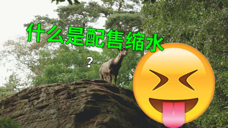 什么是配售缩水？ 动画制作软件有哪些