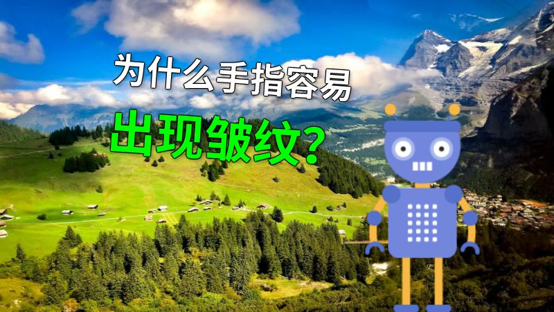 为什么手指容易出现皱纹？ 动画制作软件有哪些