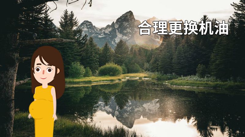 合理更换机油 动画制作软件有哪些
