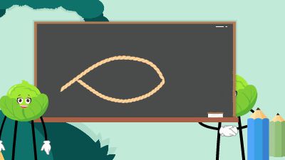 新建工程20241104.am 动画制作软件有哪些