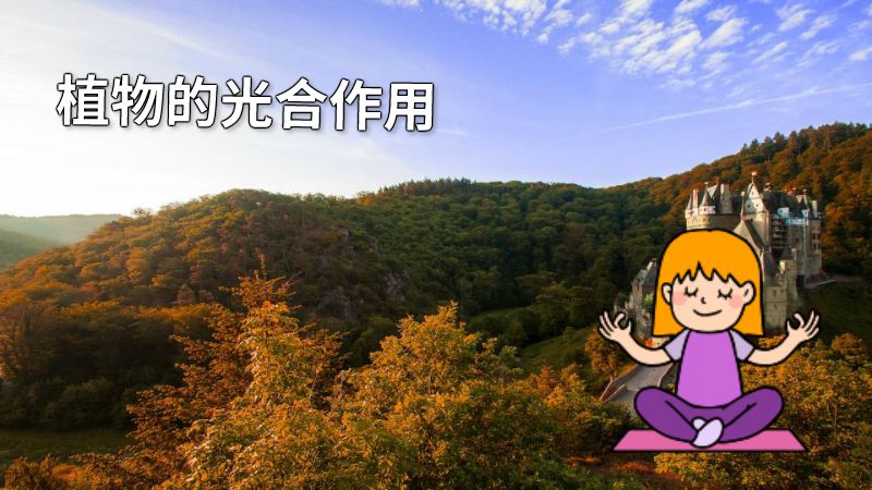 植物的光合作用 动画制作软件有哪些