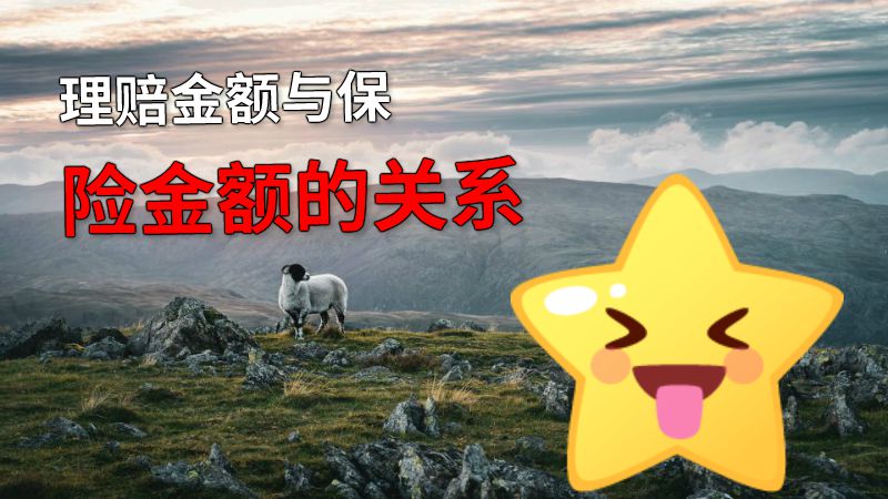理赔金额与保险金额的关系 动画制作软件有哪些