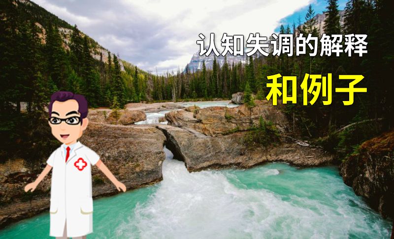 认知失调的解释和例子 动画制作软件有哪些