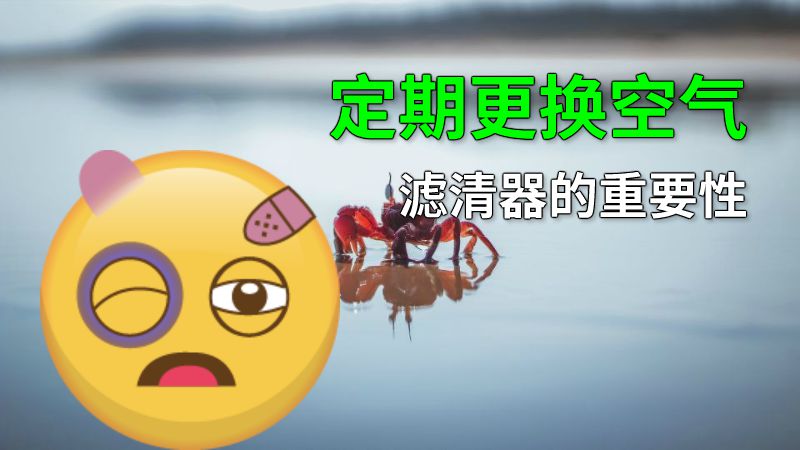 定期更换空气滤清器的重要性 动画制作软件有哪些