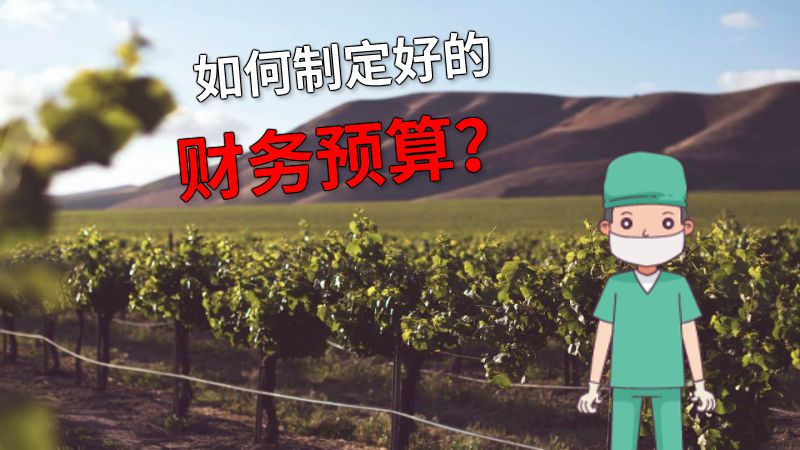 如何制定好的财务预算？ 动画制作软件有哪些