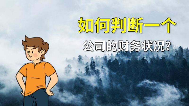 如何判断一个公司的财务状况？ 动画制作软件有哪些