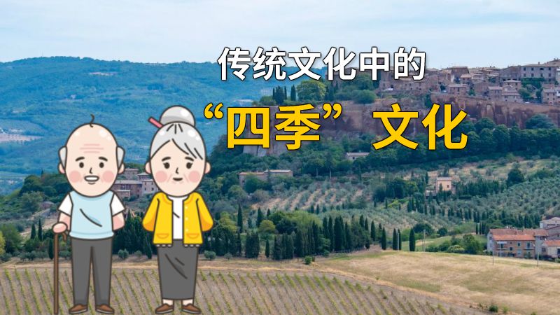 传统文化中的“四季”文化 动画制作软件有哪些