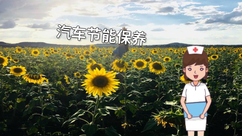 汽车节能保养 动画制作软件有哪些
