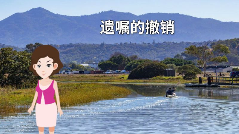 遗嘱的撤销 动画制作软件有哪些