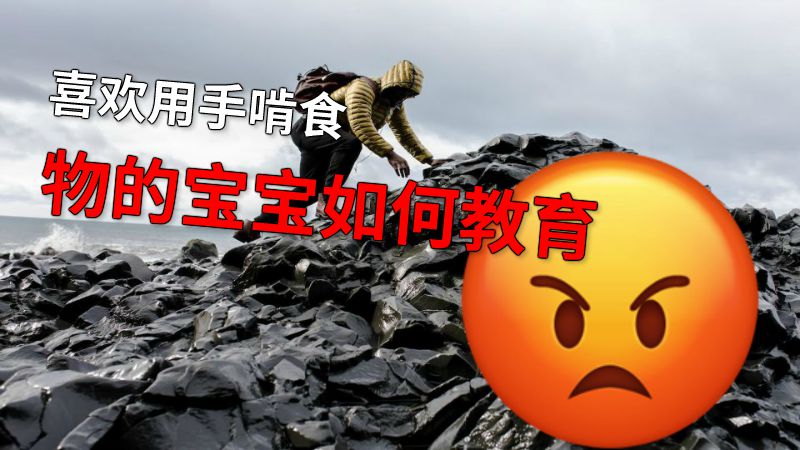 喜欢用手啃食物的宝宝如何教育 动画制作软件有哪些