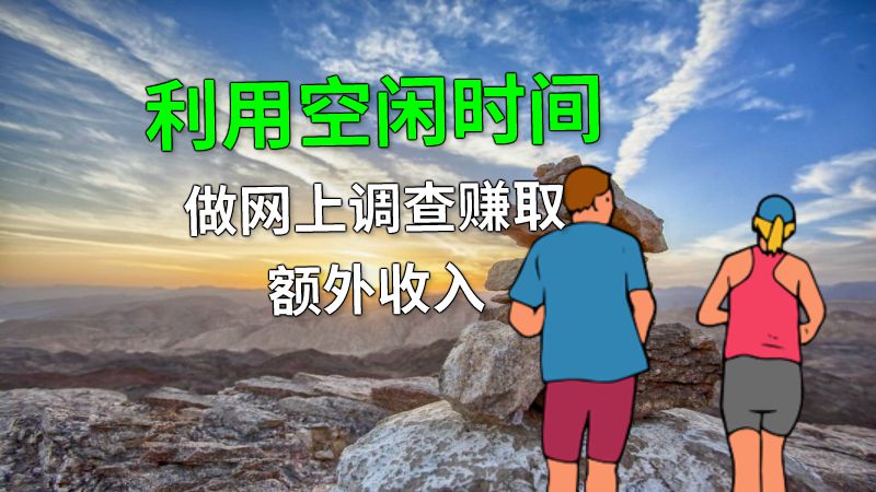 利用空闲时间做网上调查赚取额外收入 动画制作软件有哪些