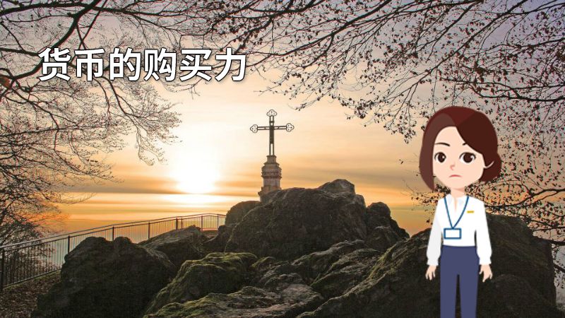 货币的购买力 动画制作软件有哪些