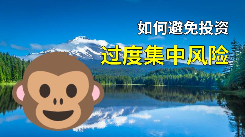 如何避免投资过度集中风险 动画制作软件有哪些