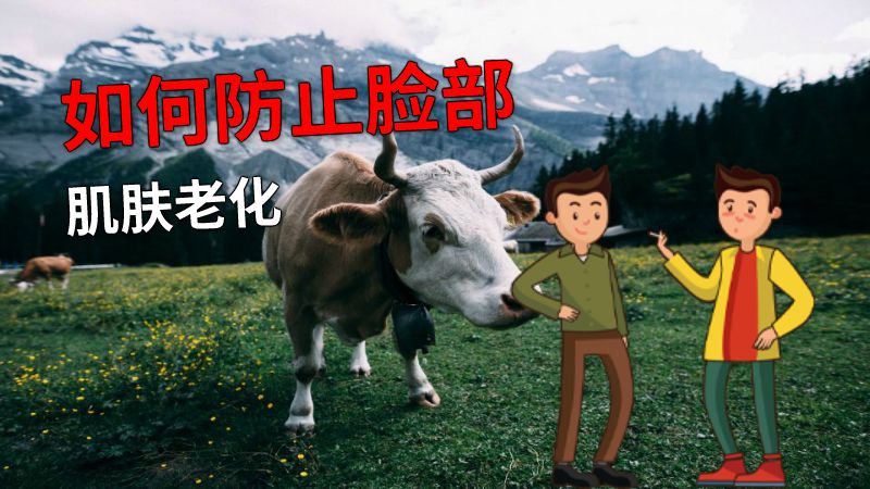 如何防止脸部肌肤老化 动画制作软件有哪些