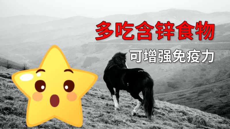 多吃含锌食物可增强免疫力 动画制作软件有哪些