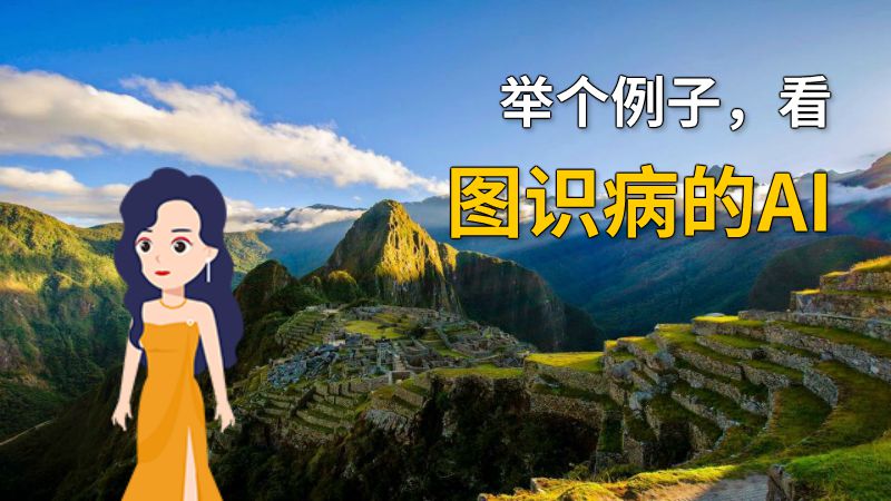 举个例子，看图识病的AI 动画制作软件有哪些