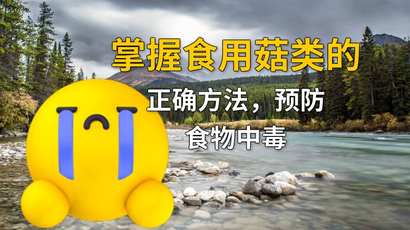 掌握食用菇类的正确方法，预防食物中毒 动画制作软件有哪些