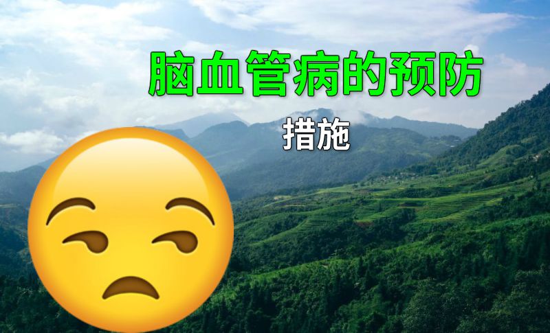 脑血管病的预防措施 动画制作软件有哪些