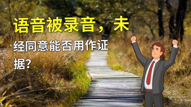 语音被录音，未经同意能否用作证据？ 动画制作软件有哪些