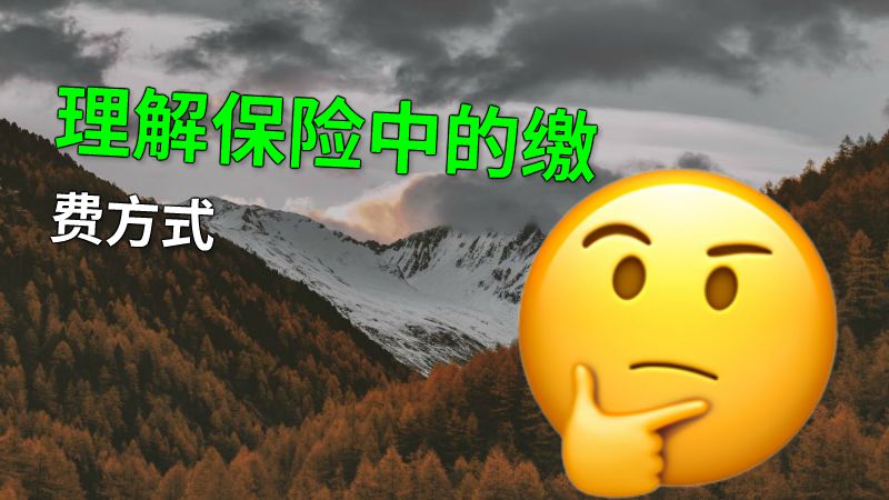 理解保险中的缴费方式 动画制作软件有哪些