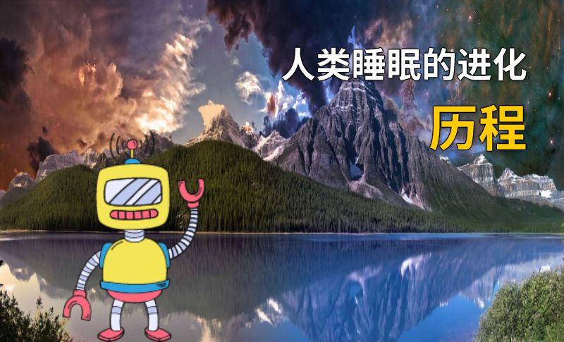 人类睡眠的进化历程 动画制作软件有哪些