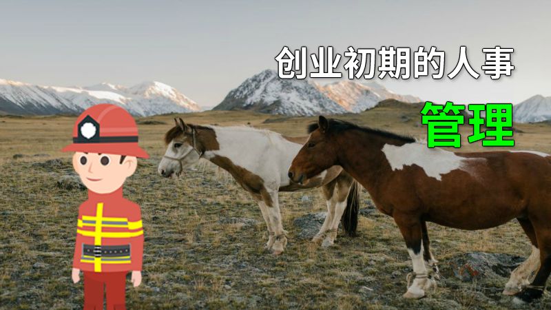 创业初期的人事管理 动画制作软件有哪些