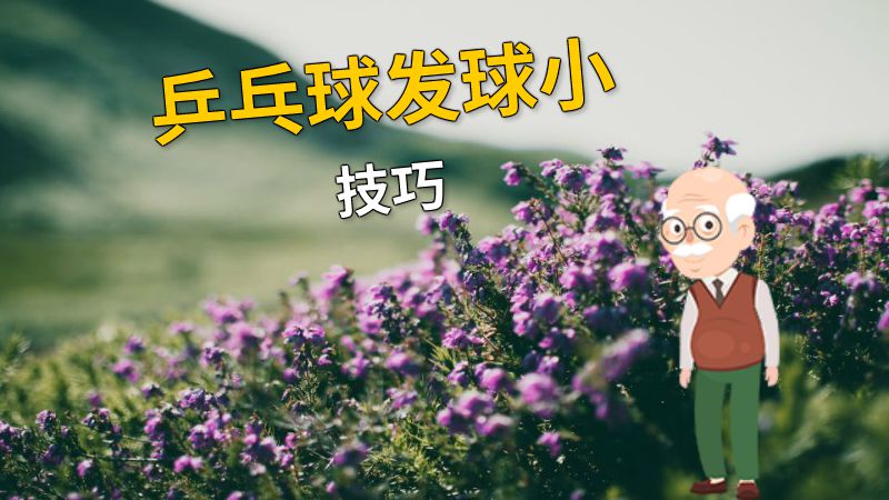 乒乓球发球小技巧 动画制作软件有哪些