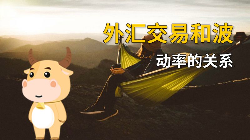 外汇交易和波动率的关系 动画制作软件有哪些