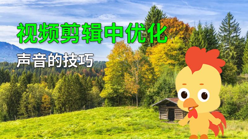 视频剪辑中优化声音的技巧 动画制作软件有哪些