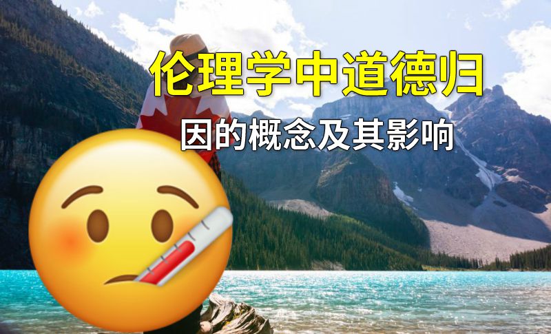 伦理学中道德归因的概念及其影响 动画制作软件有哪些
