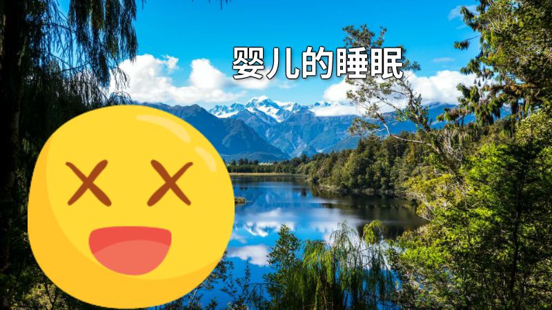 婴儿的睡眠 动画制作软件有哪些
