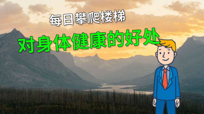 每日攀爬楼梯对身体健康的好处 动画制作软件有哪些
