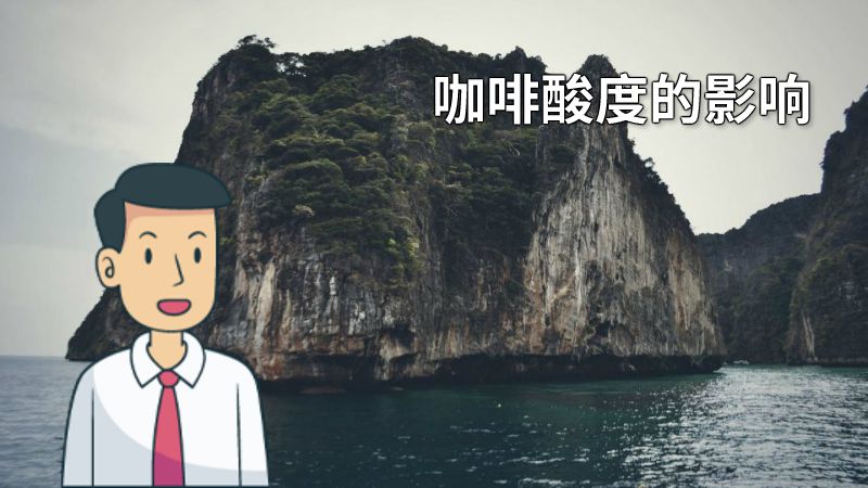 咖啡酸度的影响 动画制作软件有哪些