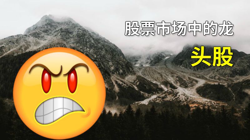 股票市场中的龙头股 动画制作软件有哪些