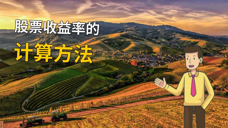股票收益率的计算方法 动画制作软件有哪些