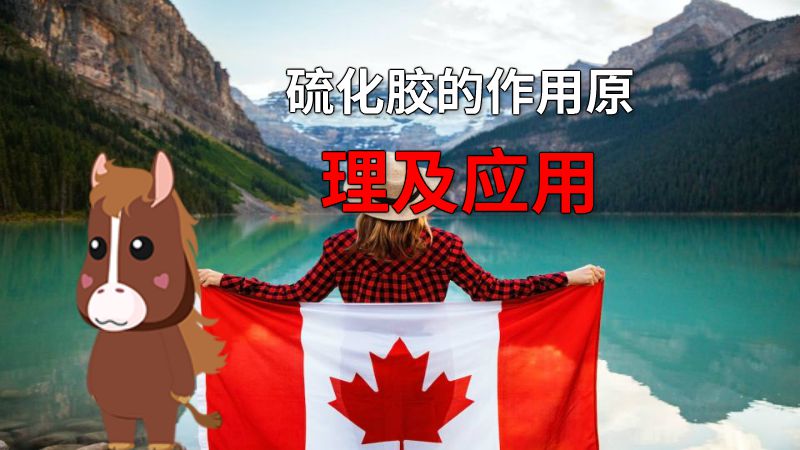 硫化胶的作用原理及应用 动画制作软件有哪些