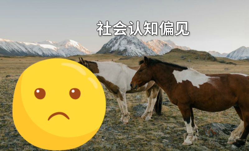 社会认知偏见 动画制作软件有哪些