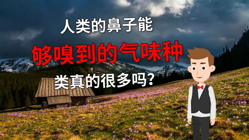 人类的鼻子能够嗅到的气味种类真的很多吗？ 动画制作软件有哪些