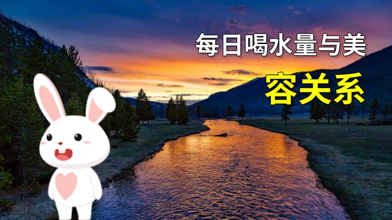 每日喝水量与美容关系 动画制作软件有哪些