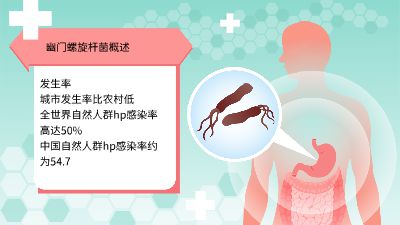 幽门螺旋杆菌3 动画制作软件有哪些