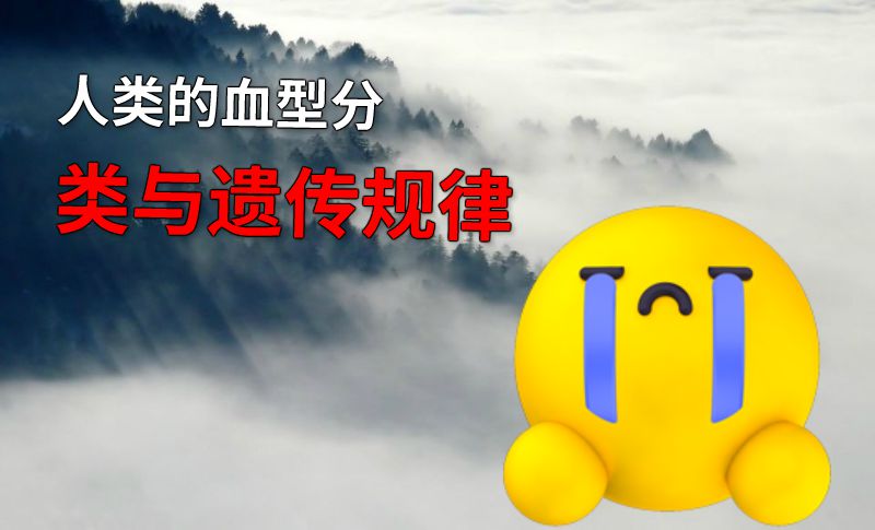 人类的血型分类与遗传规律 动画制作软件有哪些